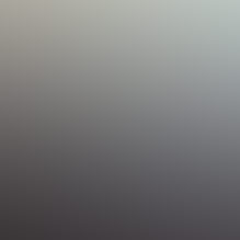 Sample portrait placeholder